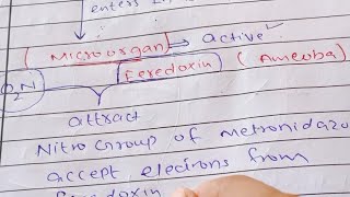 Metronidazole mechanisms of action [upl. by Suzette]