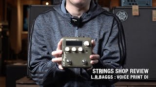 STRINGS SHOP REVIEW  LRBAGGS VOICE PRINT DI [upl. by Leanna]