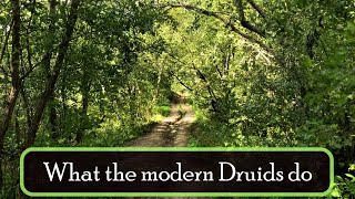 What do the modern Druids do [upl. by Gisella260]