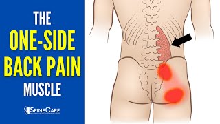 The OneSide Lower Back Pain Muscle How to Release It for INSTANT RELIEF [upl. by Elum]