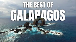 The Best of Galápagos  Exploring a Wildlife Paradise [upl. by Kristof]