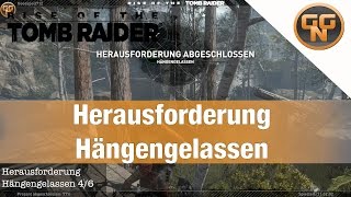 Rise of the Tomb Raider Herausforderung Guide Hängengelassen für Erfolg Jeden Stein umdrehen [upl. by Kcin]