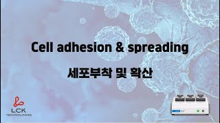 LCK Cell adhesion amp spreading 세포부착 및 확산 [upl. by Bobby]