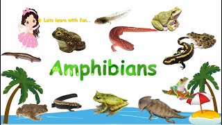 Amphibians for Kids  What is an Amphibian  Learn about the amphibians with Bandus Kids LAB [upl. by Ytak]