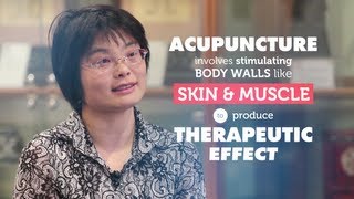 How does acupuncture work  RMIT University [upl. by Goodwin]