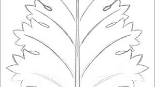 Drawing Acanthus Leaf  Basic Leaf [upl. by Arndt]