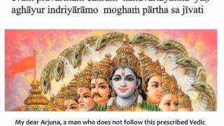 Bhagavad Gita Chapter 3  Verse 16 [upl. by Aneret895]