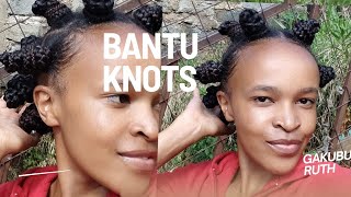 HOW TO BANTU KNOTS TUTORIAL  BANTU KNOTS HAIR STYLE ON BRAIDED HAIR [upl. by Brennen]