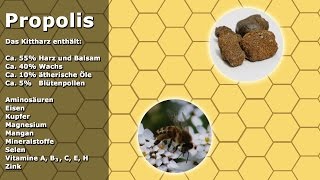 Propolis Kittharz Tinktur  Herstellung Anwendung und Einnahme [upl. by Nosidda]