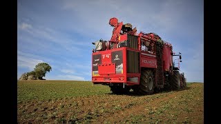 HOLMER EXXACT T430  JOHN DEERE 6190R  Benne [upl. by Ennazor]