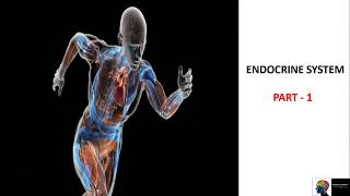 Endocrine System  ICSE Class 10th BiologyPart 1 [upl. by Nonnah]