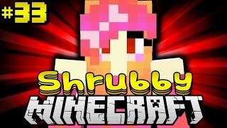 WAS hat SIE VOR  Minecraft Shrubby 33 DeutschHD [upl. by Lupee]