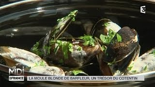 VU DICI  La moule blonde de Barfleur un trésor du Cotentin [upl. by Aneret]