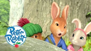 OfficialPeterRabbit  1 hour Summer Special ☀️  Cartoons for Kids [upl. by Broome]