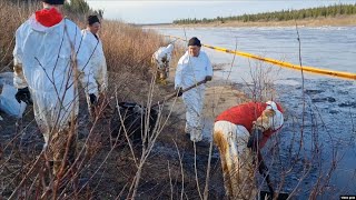 Lukoil Says It Cleaned Up Its Oil Spill Russian Environmentalists Say The Contamination Continues [upl. by Lew175]