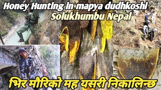 Honey Hunting in Mapya dudhkoshi 3 mauri khola dobhan Solukhumbu Nepal 2024 ll गाँउघरकाे मह कटाई [upl. by Vrablik]