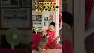 Jika Sayap mu Patah Terbanglah dengan Cara lain [upl. by Ttegirb81]