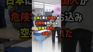 日本に来た中国人…危険物を持ち込み空港検疫で暴れた末路w [upl. by Natty]