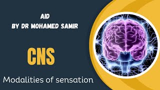 CNS physiology  L4  modalities of sensation [upl. by Connor]