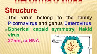 6 Parainfluenza HAV viruses [upl. by Esmaria]