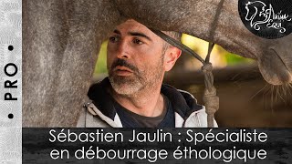 • PRO • Sébastien Jaulin  Spécialiste en débourrage éthologique [upl. by Arrol7]