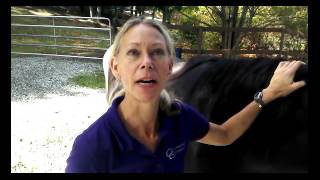 Susan Gordon on Centered Riding [upl. by Ttenneb]