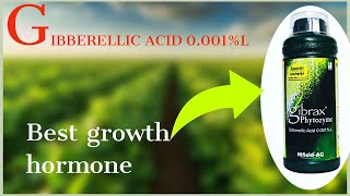 Gibberellin hormone biosynthesis and gibberellin function [upl. by Peppard474]