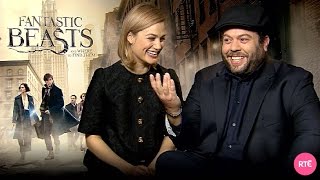 Dan Fogler amp Alison Sudol talk Fantastic Beasts and Where to Find Them [upl. by Napra]