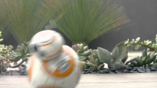 08 SPHERO BB8 BRANDFOLDER VIDEO HD [upl. by Yzeerb]