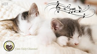 Music for Cats  Peaceful Music to Calm your Cat Deep Relaxation Comfortable Sleep [upl. by Nivrae617]