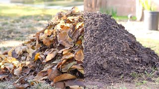 Turn Leaves into FREE Organic Compost [upl. by Celesta869]