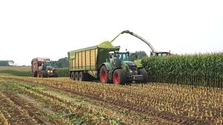 Claas Jaguar 890 bei der Maisernte 2015 [upl. by Hacim]