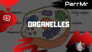 Organelles Song [upl. by Xenos654]