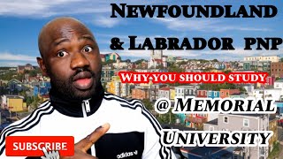 Newfoundland and Labrador PNP  Why you should study at Memorial University [upl. by Tuorah]