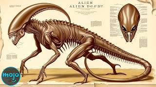 The Anatomy of Xenomorphs EXPLAINED [upl. by Jerrie]