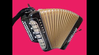 Немецкий HOHNER 7 регистров Фа диез  ПРОДАЮ [upl. by Argent229]