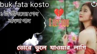 💔😭তোরে ভুলে যাওয়ার লাগি buk fata kosto ১ akta jiboner ses gan sed গানsomg [upl. by Glenna201]