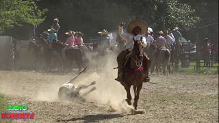 COLEADERO EN EL LIENZO CHARRO EL ZACATECANO 8 25 2018 segunda parte [upl. by Ecirum]