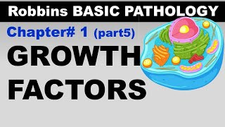 Chp1 part5 Robbins Basic Patho  Growth Factors  Cellular Interaction  Dr Asif Lectures [upl. by Ycniuq578]