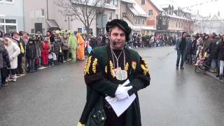 ALDINGEN NF UMZUG 2012wmv [upl. by Brittaney]