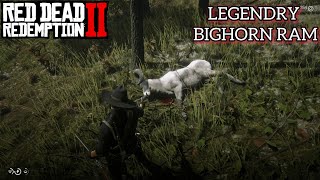 Red Dead Redemption 2  Bighorn Ram  Full Guide [upl. by Ttennaj]