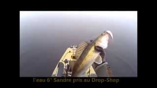 Comment Pêcher les Sandres lhiver Vidéogoogleyoutube en LacFish for the Pikeperch Winter Trick [upl. by Han]