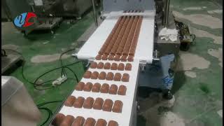 Multi Rows Protein Bar Date Bar Chocolate Bar Extruding Machine [upl. by Elleinnod982]