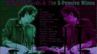 KEITH RICHARDS amp THE XPENSIVE WINOS GIMME SHELTER LIVE HD [upl. by Einobe39]