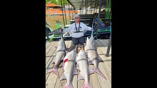 Final Day Of Spoonbill Paddlefish Season 2024 Lake Of The Ozarks Hellcat Catch the Fever [upl. by Clarhe404]