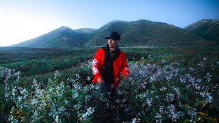 Overnight Camping in Californias Mysterious Beach [upl. by Albertson]