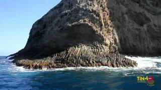 LA GOMERA Los Organos  Whalewatching [upl. by Eelidnarb]