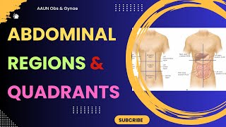 Nine Abdominal Regions and Four Abdominal Quadrants [upl. by Namrak]