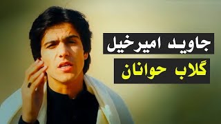 Javed Amirkhil  Gulab Zwanan جاوید امیرخیل  ګلاب ګلاب ځوانان [upl. by Zigrang]