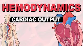 Cardiac Output  Hemodynamics Part 3 [upl. by Natehc]